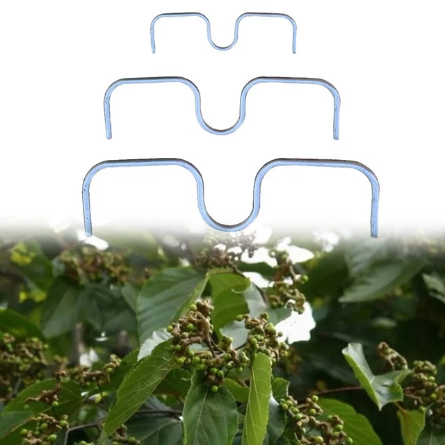 N-A Épandeur De Branches De Fruits Épandeur De Branches De Pommiers Branches Plus Fortes Pommes