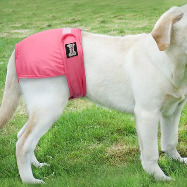 Pantalones fisiológicos de higiene para perros pañales lencería para cachorros