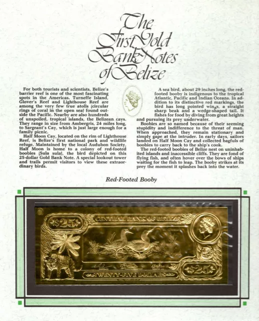 22kt Gold $25 Belize 1981 Banknote- BOOBY - RARE UNC
