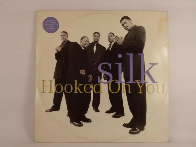 SILK HOOKED ON YOU (127) 6 Track 12" Single Picture Sleeve