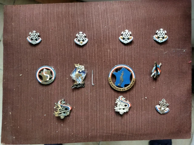 Insigne Ancien ESF - Ski De Fond - 1 étoile - Vintage - Occasion - Origine France