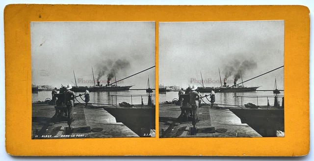 Algerien Algier Im Hafen c1900 Foto Stereo Vintage P78L6n