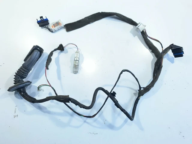 FAISCEAU DE PORTE arrière droit Renault Scénic 2 EUR 64,00 - FR
