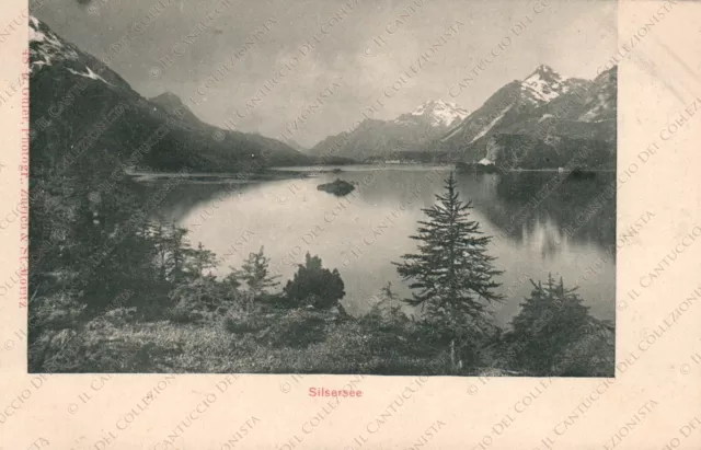 SUISSE Silsersee Panorama Carte postale