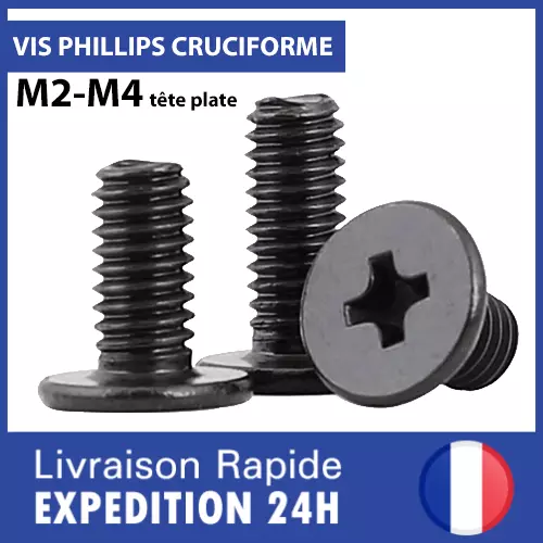 Vis M2 M2.5 M3 M4 cruciforme tête plate (Phillips) en acier au carbone noir lot