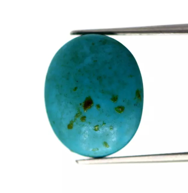 Forme Ovale Firoza 8.72 CT Naturel Turquoise non Traité Desseré Certifié Gemme