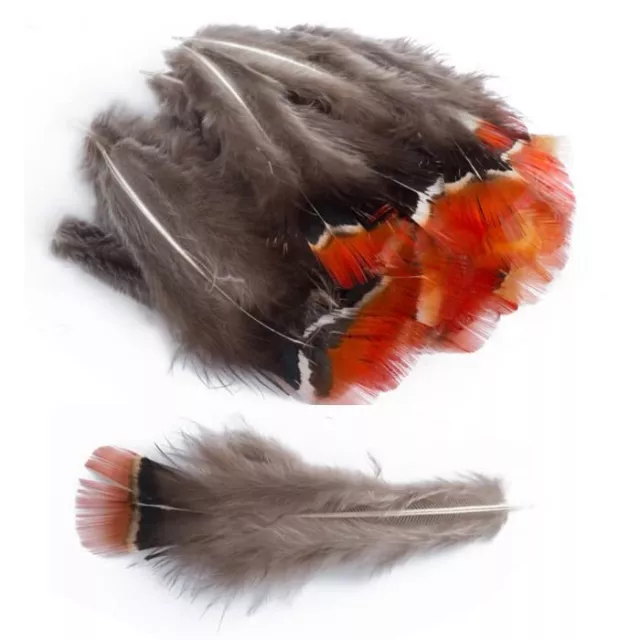 100 pcs Natural Pheasant Plumage Feathers 2-3.2 Inches Plumage Feathers for S...