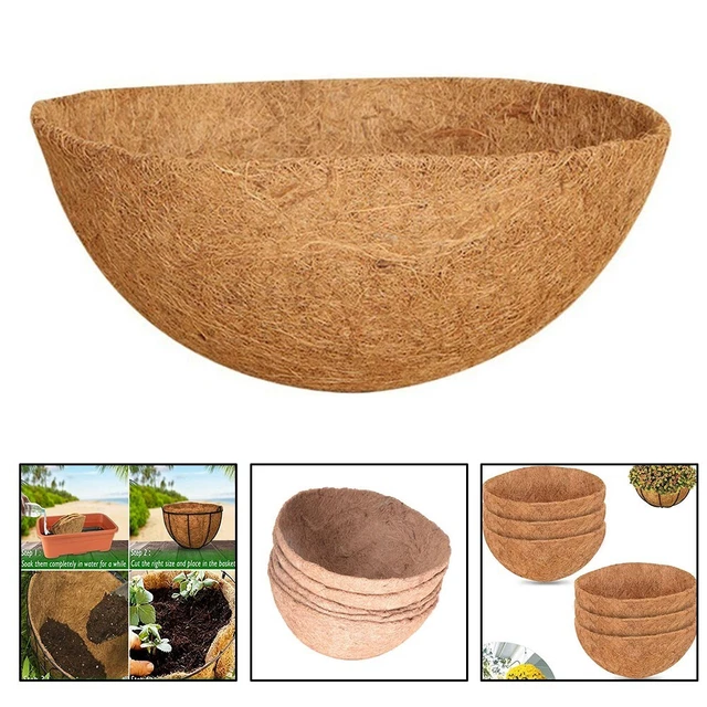 HOBBY Corbeille Ronde En Fibre De Coco 6 X 11 Cm Pour Plante Verte