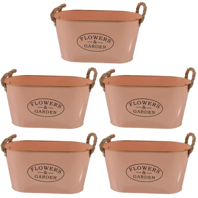 5 PCS tin bucket Wanne Metall Schmiedeeiserne Vase Mini-Zinn Pflanzer Blumentopf