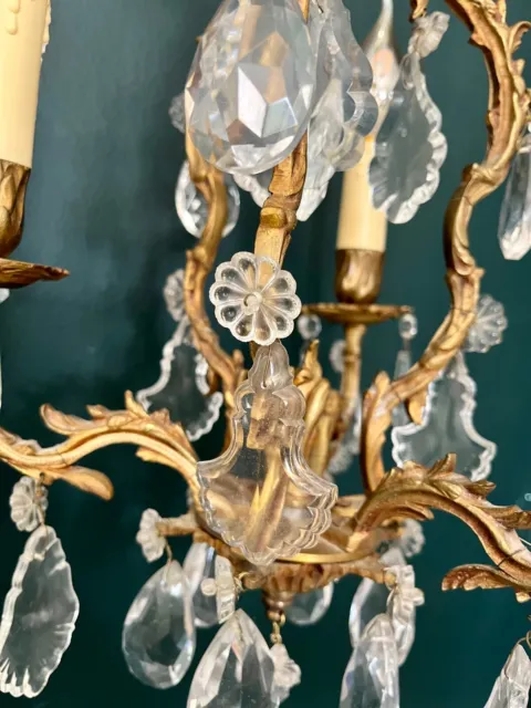 "19th Century French Gilt Bronze CRYSTAL CAGE CHANDELIER / Pampille