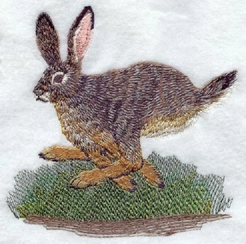 Embroidered Long-Sleeved T-Shirt - Jackrabbit Running M1729 Size S - XXL