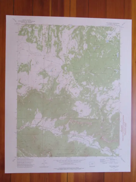 Fish Creek Colorado 1975 Original Vintage USGS Topo Map