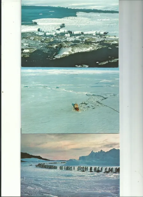 Lot de 3 cartes signées des expeditions polaires Paul emile Victor TAAF