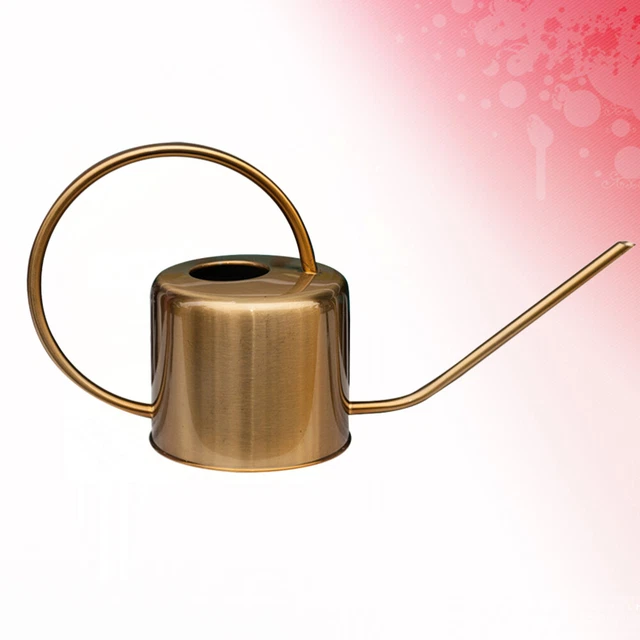 Watering Pot Small Succulent Plants House Plants Watering Device