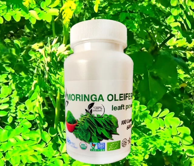 MORINGA OLEIFERA 600 mg 100 Cápsulas - 100% hoja