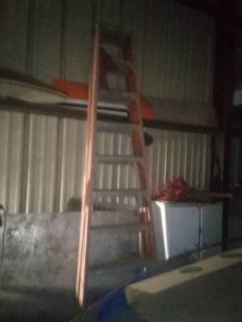 10' Werner Industrial Ladder