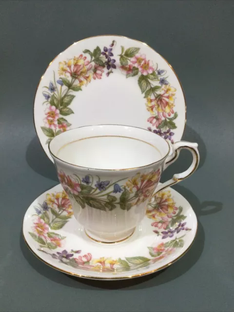 Paragon Bone China “ Country Lane “ Tea Cup, Saucer & Plate Trio