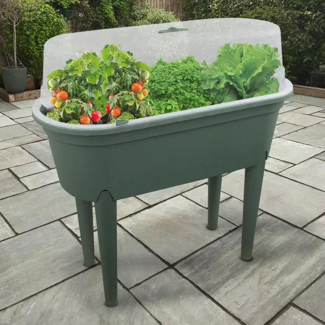 Planter Box Seeding Table Bed Mini Greenhouse Flower Plant Indoor Outdoor Garden