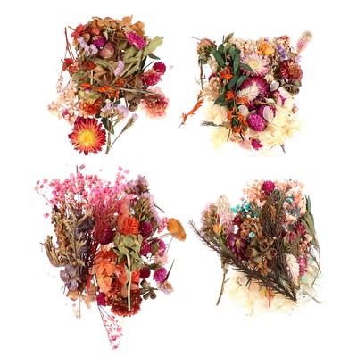 fai da te in resina album di ritagli colore: viola iDattel Fiori secchi naturali,fiori secchi per resina,mix di fiori naturali set di fiori essiccati naturali per fai da te per artigianato 