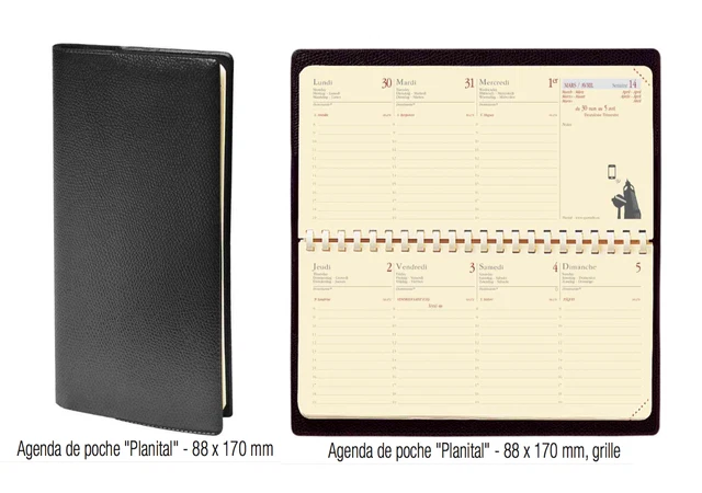 Planificateur 10x15cm Agenda Semainier Quo Vadis Impala Bleu - Août 2025 à Août 2026 - 10x15cm Agenda Semainier 2025 2026 Planificateur 10x15cm Agenda Semainier Quo Vadis Impala Bleu - Août 2025 à Août 2026 - 10x15cm Agenda Semainier 2025 2026
