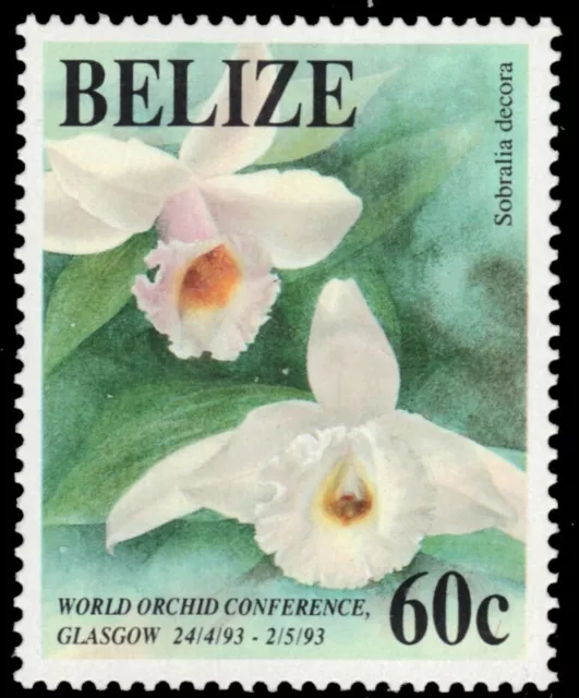 BELIZE 1010 - World Orchid Conference "Sobralia decora" (pb84571)