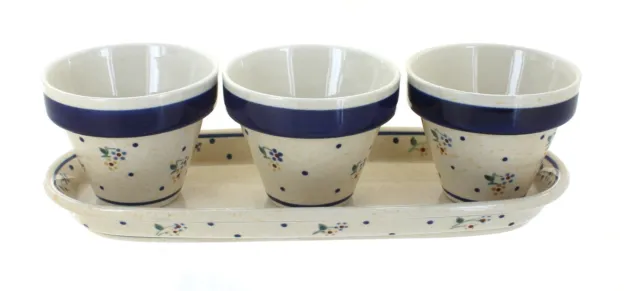 Blue Rose Polish Pottery Country Meadow Flower Pots with Tray