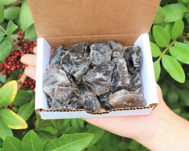 1/2 lb Natural Rough Smoky Quartz Crystal Rock Box Collection (Raw Smokey 8 oz)