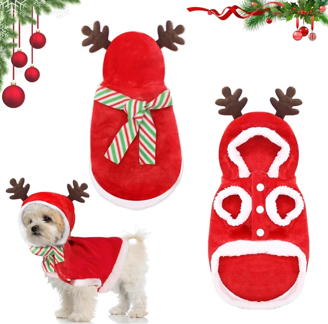 Costume Natale Cane,  Vestiti Gatto Natale, Vestiti per Cani Natale, Animale Dom