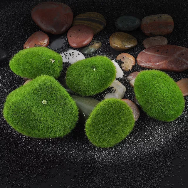 1/3/6pcs Marimo Stone Moss Miniature Dollhouse Garden Fairy Bonsai Plant Cr~7H