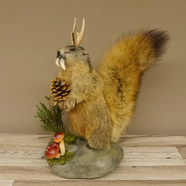Wolpertinger, Mythische Figur, Fabelwesen, In Bayern, Bayern