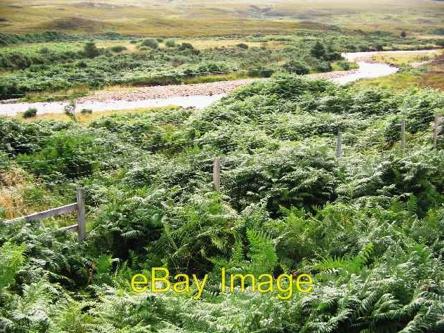 Photo 6x4 River Strathy Dallangwell At this point the flood plain of the  c2005