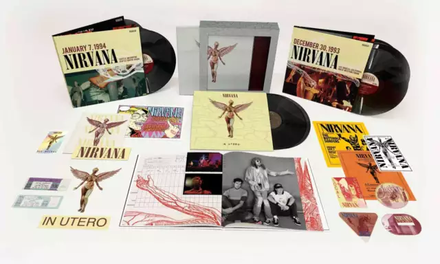 Nirvana: In Utero (30th Anniversary) (remastered) (180g) (Super Deluxe Edition)