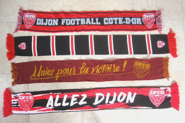 As Saint Etienne Dijon Football Coupe de France 2004