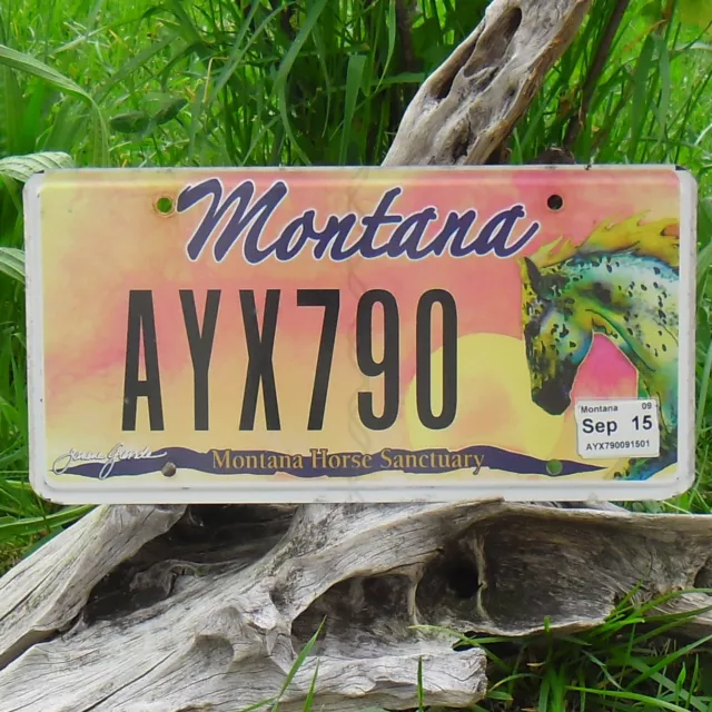 Authentique Plaque D'Immatriculation du Montana (AYX790) USA License Plate