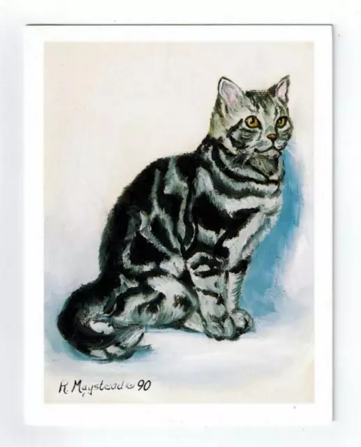 New Cat Profile Notecard Set - 12 Blank Note Cards By Ruth Maystead #CATS-12