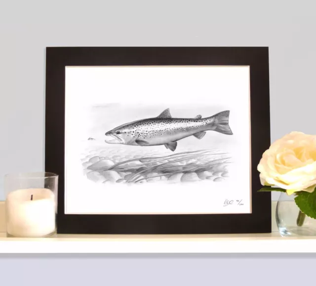 ATLANTIC SALMON FLY Fishing Art Drawing Print Picture Present Gift
