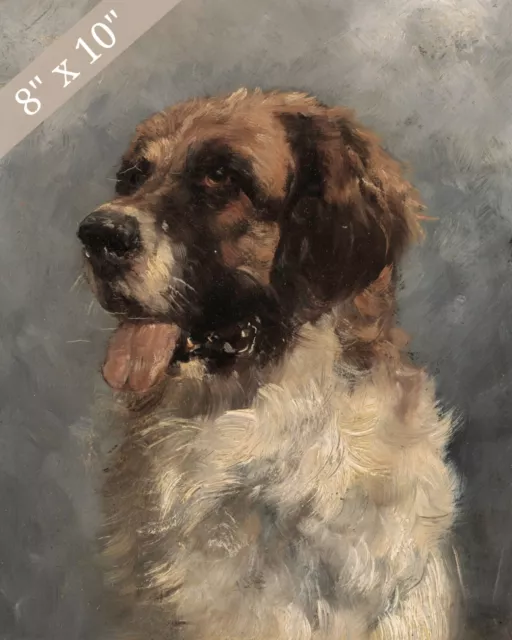 Saint Bernard Dog Painting Giclee Print 8x10 on Fine Art Paper