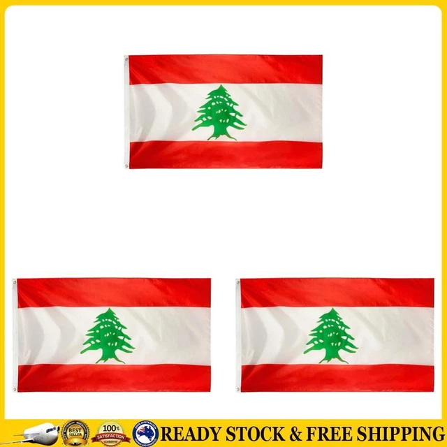 Lebanon Flag Icon Set. Lebanese Pennant In Official Colors And - Foto 5