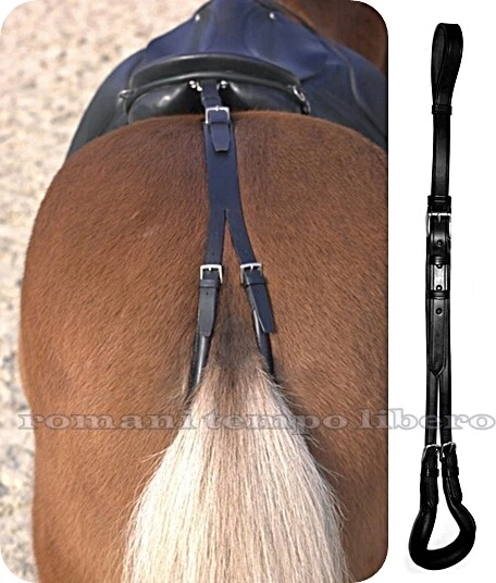 Selle Cheval Tack Dressage Equestre, Cheval, animaux, selle de