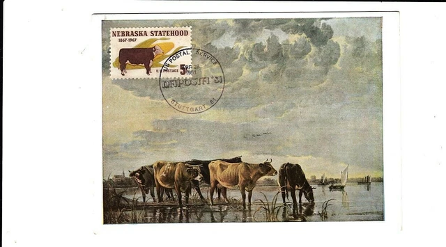 118307 / Maximumkarte USA FAUNA KUH
