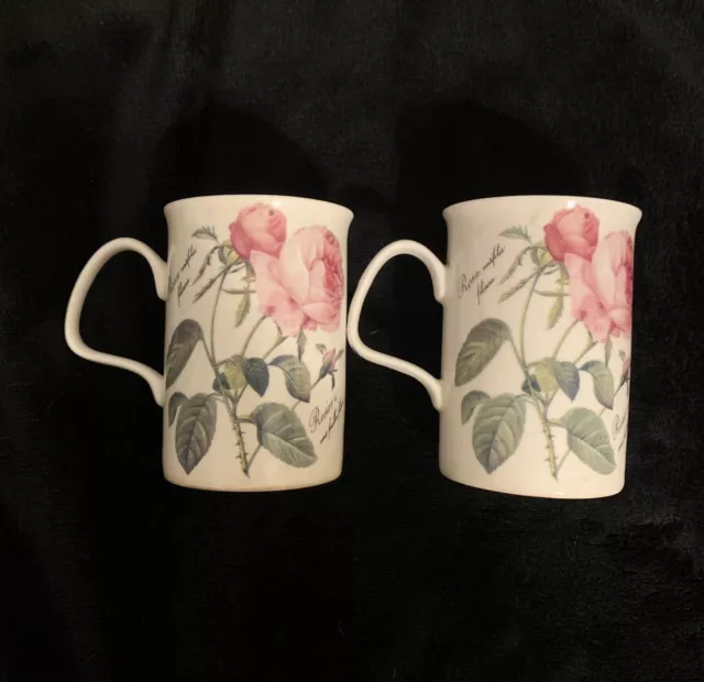 Mugs Roses Elegance Bone China Set 2 England 1997 Rosier a cent feuilles foliace