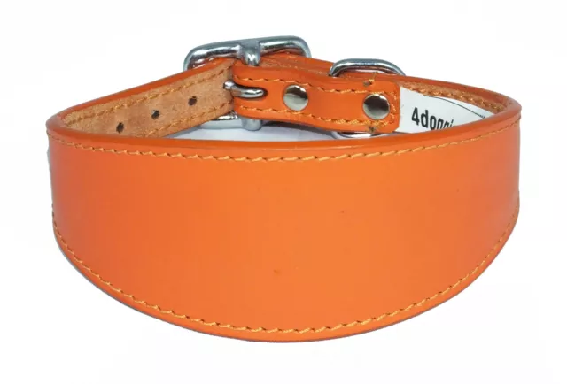 Plain Orange Leather Whippet collar Greyhound Collar Italian Greyhound Collars