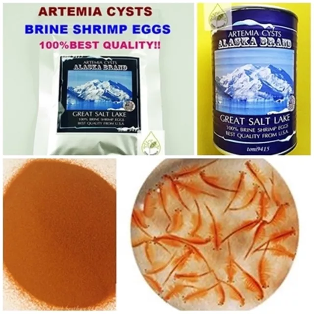 Best Brine Shrimp Egg Artemia Cysts PREMIUM High Quality 90% ALASKA USA