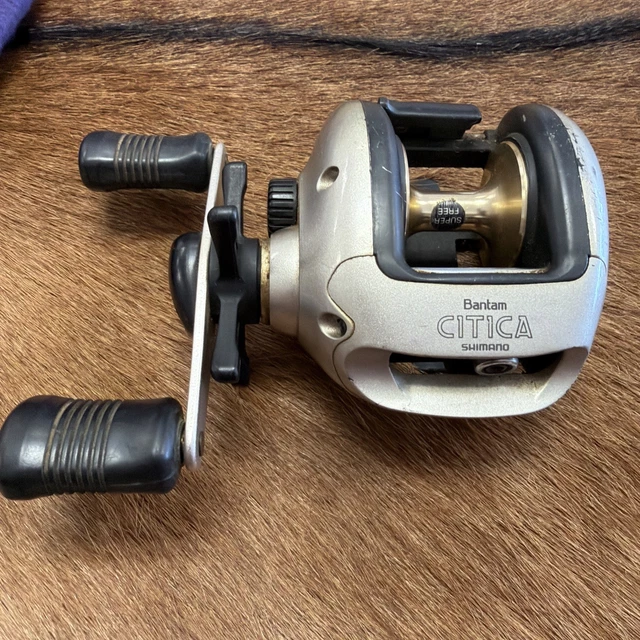 citica fishing reel FastEddy Bearings shimano-citica-200-dpv-baitcaster-complete-fishing-reel-rubber-sealed-bearing-kit reliable performance Shimano Citica Ci-200 Fishing Reels