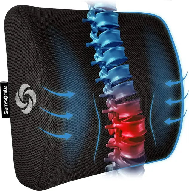 Lumbar Support Pillow for Office Chair and Car Seat, Perfectly Balanced Memory F