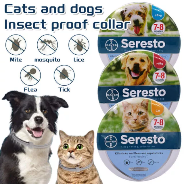 Collar Antiinsectos Pulgas y garrapatas 8 Meses Protección para Gatos Perro 2