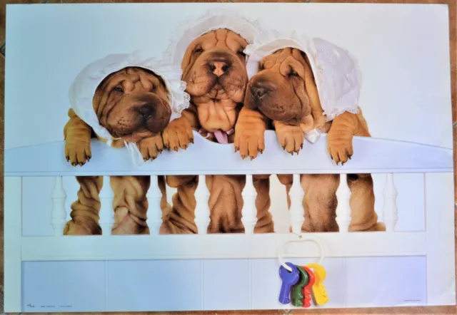 Poster Manifesto Three Dogs Anni 90 100X70 Edibas