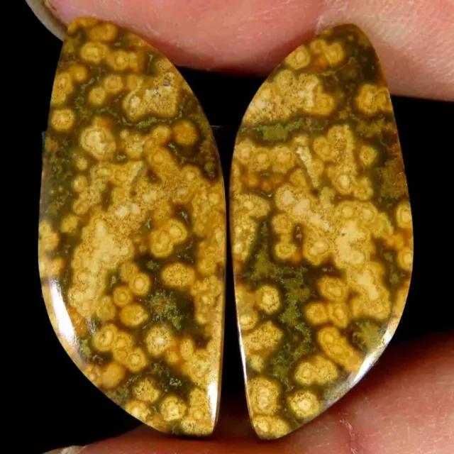 16.70Cts 100%Natural Ocean Jasper Fancy Pair Cabochon 13x30x3mm loose Gemstone