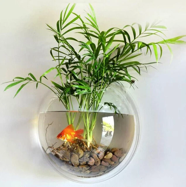 Hanging Wall Mounted 1 Gallon Fish Tank Bowl Aquarium Wall Decor Plant Fish Bubb 5