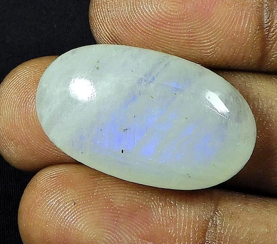 Mule plateforme noire ornée de strass à tige transparente - C le pied